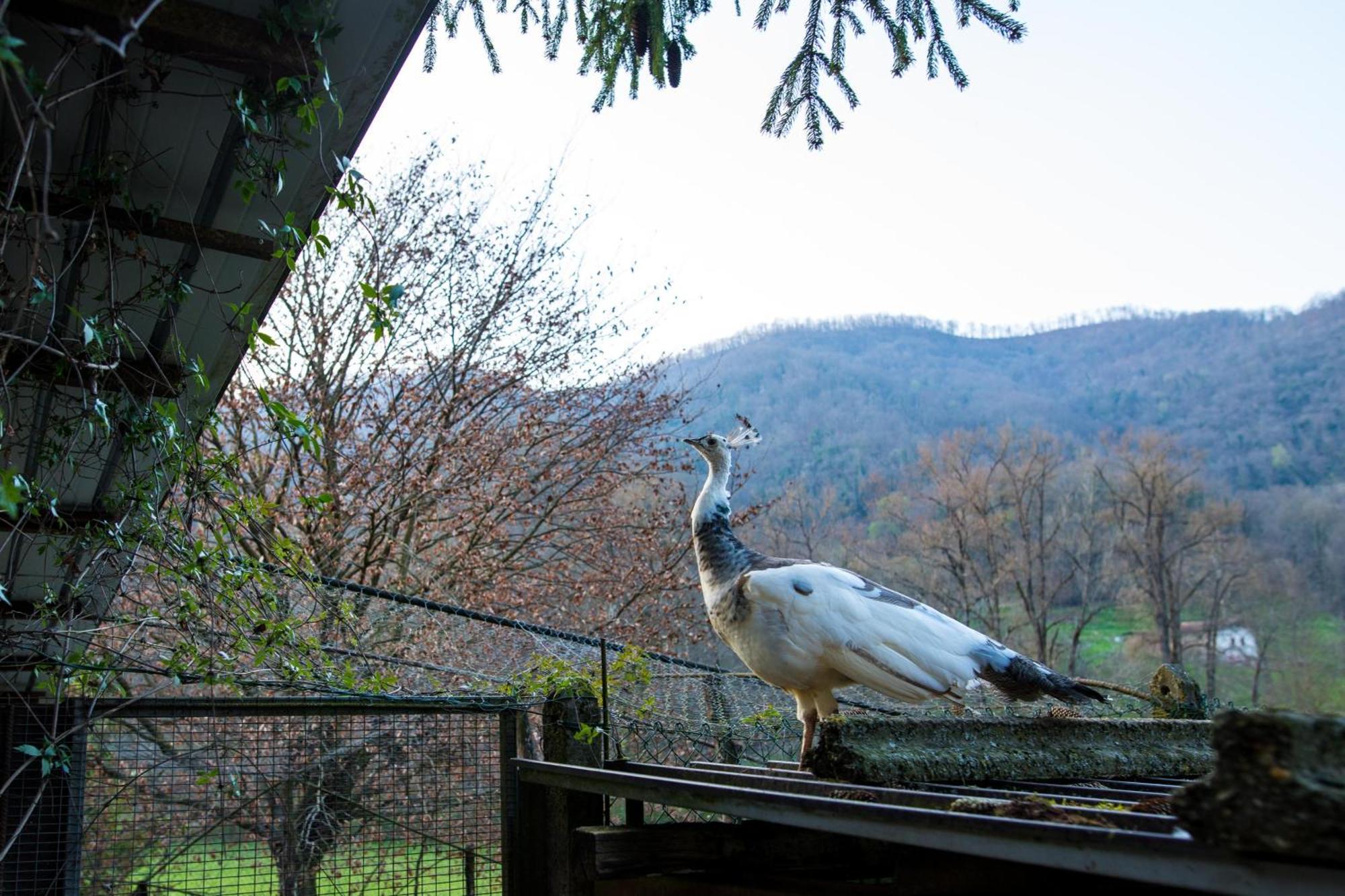 Cascina Canale Sabbio Chiese Buitenkant foto